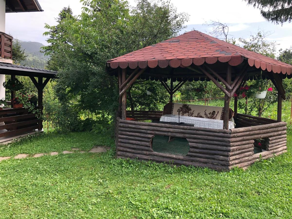 Casa Viorica Hotel Statjunea Borsa Exterior photo